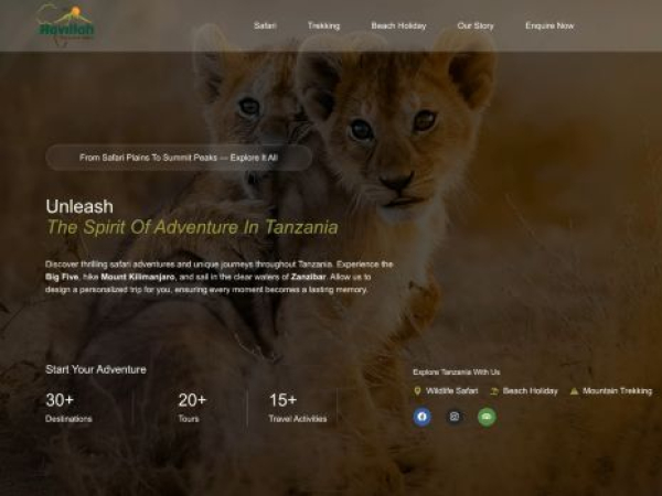 havillahtours.co.tz