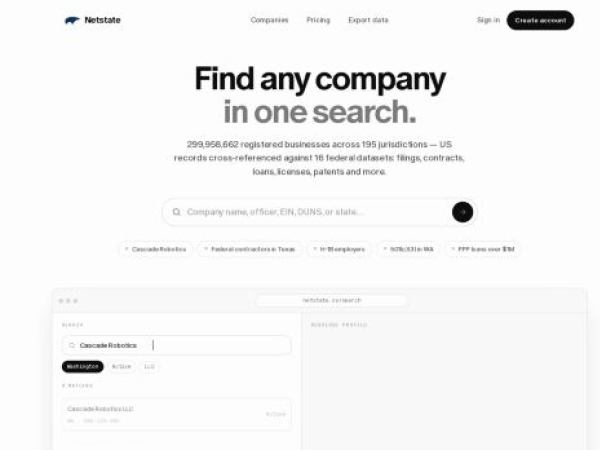 netstate.it.com