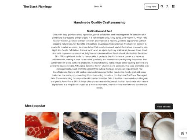 theblackflamingo.square.site